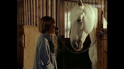 Wenn das die Nachbarn wüßten Season 2 Episode 2 - Episode 2