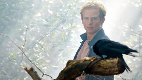 Alarm for Cobra 11: The Motorway Police Season 42 Episode 6 - Halloween