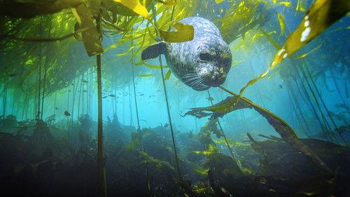 America's National Parks Season 1 Episode 1 - Olympic