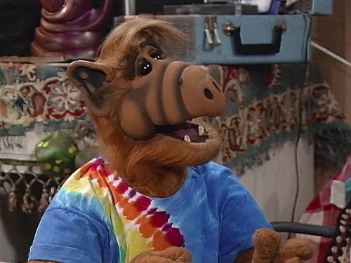 undefined Season 4 Episode 8 - The First Time Ever I Saw Your Face