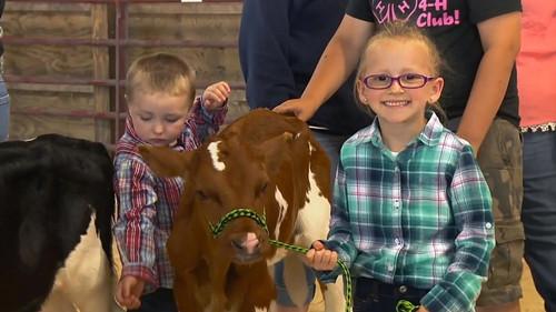 The Incredible Dr. Pol Season 12 Episode 12 - Moovin' On Up