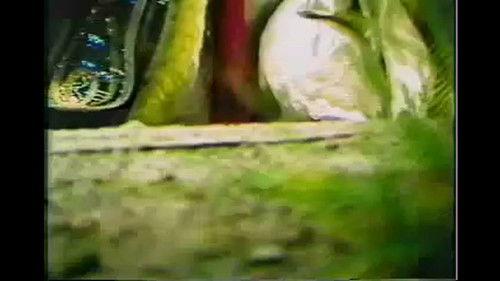 Pili Season 6 Episode 13 - Episode 13