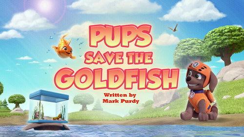 PAW Patrol Season 12 Episode 17 - Pups Save the Goldfish