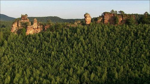 Wild Germany Season 2 Episode 2 - The Palatinate Forest