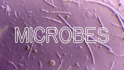 Frick, I Love Nature Season 1 Episode 4 - How Microbes Rule Your World