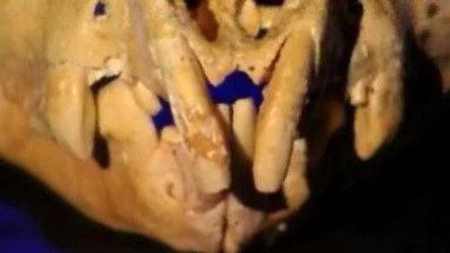 NOVA Season 34 Episode 14 - Bone Diggers