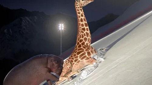 Athleticus Season 2 Episode 11 - Episode 11