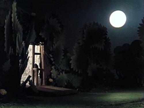 The Wombles Season 1 Episode 20 - Orinoco And The Ghost