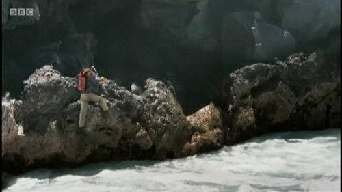 Andy's Wild Adventures Season 2 Episode 17 - Marine Iguanas