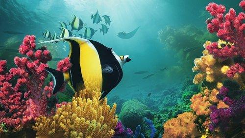 Asia Season 1 Episode 1 - Beneath the Waves