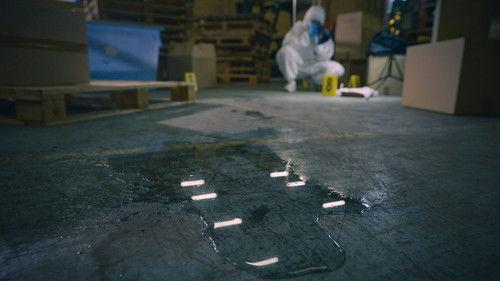 Crimewatch Live Season 17 Episode 9 - Episode 9