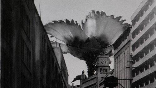 undefined Season 1 Episode 4 - Mammoth Flower