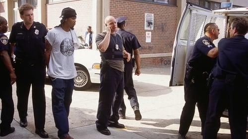 The Wire Season 1 Episode 13 - Sentencing