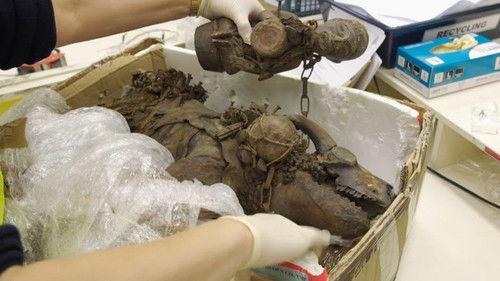 To Catch a Smuggler Season 10 Episode 6 - Under the Wire