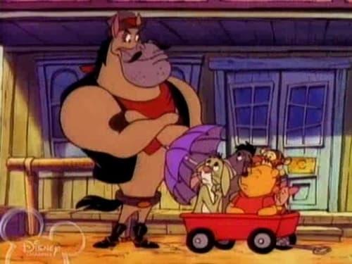 The New Adventures of Winnie the Pooh Season 1 Episode 16 - Paw and Order