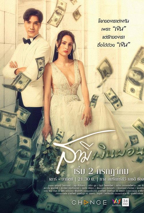Husband in Disguise poster
