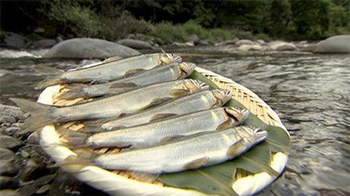 Trails to Tsukiji Season 2 Episode 15 - Ayu