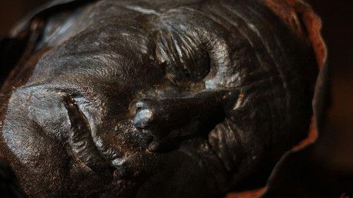 NOVA Season 41 Episode 13 - Ghosts of Murdered Kings