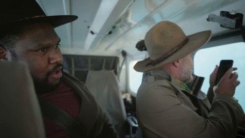 Background image for G’day Parks Hervey Bay Tourist Park