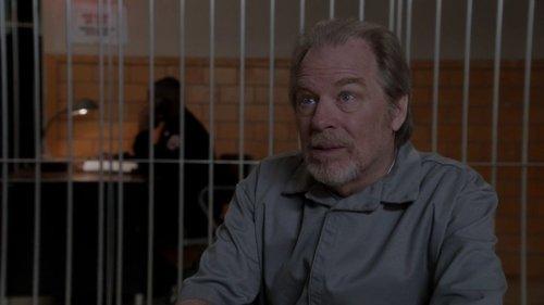 Law & Order: Special Victims Unit Season 13 Episode 13 - Father's Shadow
