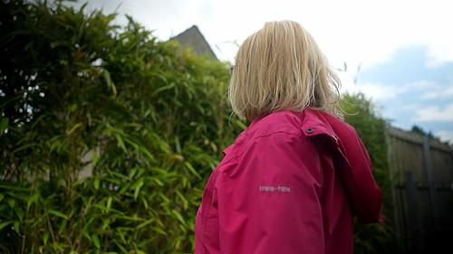 Rip Off Britain Season 16 Episode 17 - Out-of-control bamboo is destroying my driveway