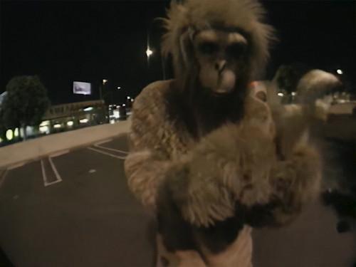 Jackass Season 3 Episode 8 - Bloody Carpet