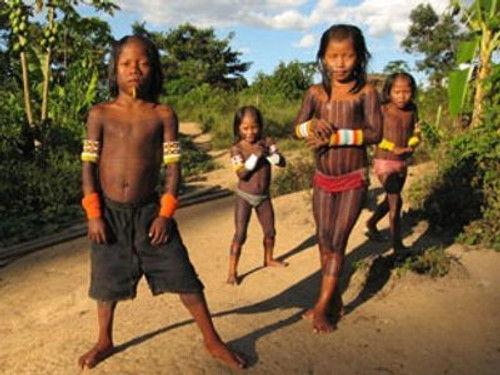 Amazon with Bruce Parry Season 1 Episode 6 - Episode 6