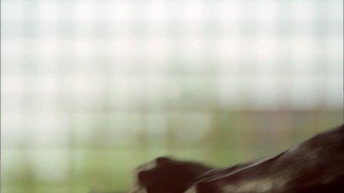 undefined Season 3 Episode 3 - Call Waiting