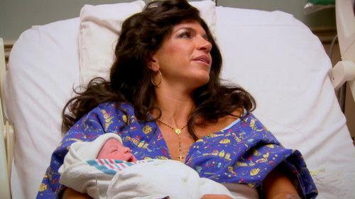 The Real Housewives of New Jersey Season 2 Episode 4 - Babies, Bubbles and Bubbies