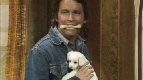 Background image for No Children, No Dogs