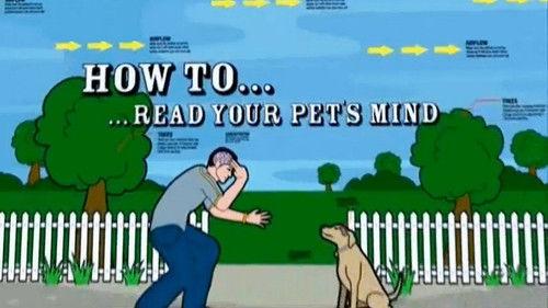 Background image for Secrets of the Hexagon