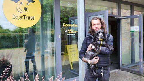 Pete Wicks: For Dogs’ Sake Season 1 Episode 4 - Colm, Ruby, Tammy... and Mel