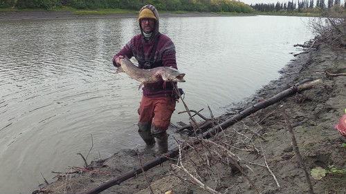 Alone Season 11 Episode 3 - Fortune