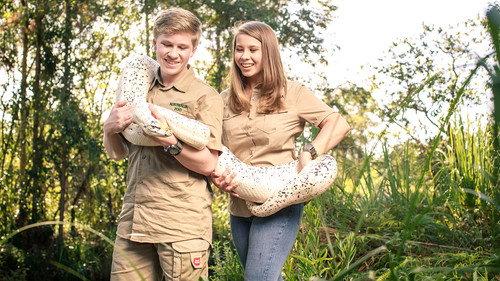 Crikey! It's the Irwins Season 1 Episode 2 - Tiger Eyes