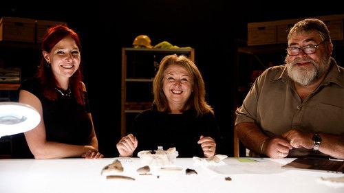 Digging for Britain Season 7 Episode 1 - North