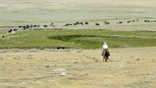 Kanadas Nationalparks Season 2 Episode 5 - Episode 5