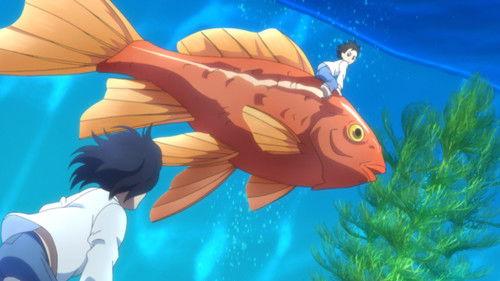 Pet Season 1 Episode 5 - Locks