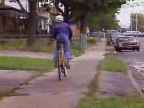 The Littlest Hobo Season 2 Episode 11 - Licence to Steal