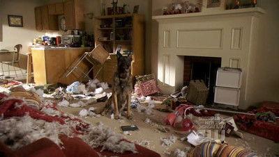 Valentine Season 1 Episode 6 - Hound Dog