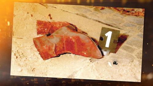 Ermittler! Season 8 Episode 8 - Episode 8