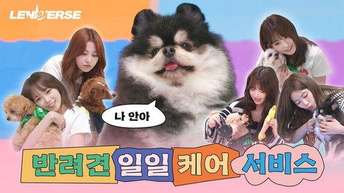 LENIVERSE Season 6 Episode 3 - EP.59 Dog Petsitter: One-Day Pet Care Service Part 1