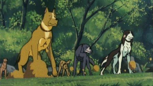 Silver Fang: The Shooting Star Gin Season 1 Episode 9 - Demon Dogs! Kai's Three Brothers!