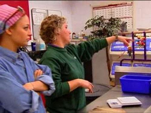 The Simple Life Season 3 Episode 8 - Zoo