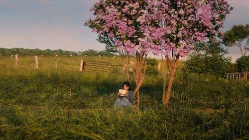 First Love Season 1 Episode 9 - Hatsukoi