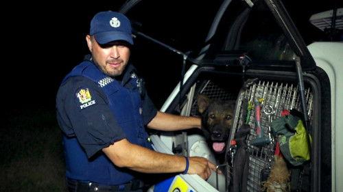 Dog Squad Season 12 Episode 9 - Episode 9