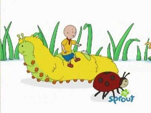Caillou Season 3 Episode 20 - Caillou's Gym Day