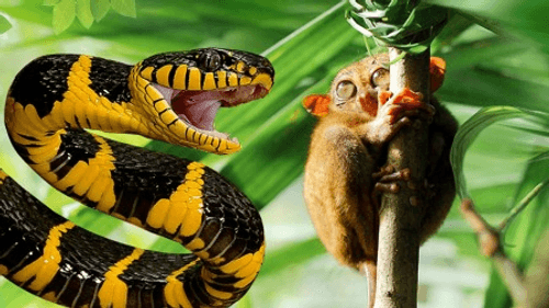 Dawn to Dusk Season 1 Episode 5 - Episode 5