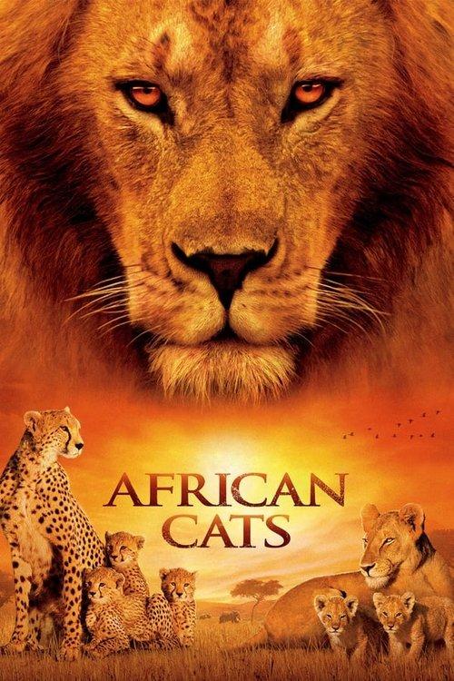 African Cats poster