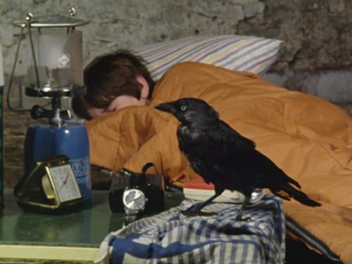 The Famous Five Season 1 Episode 13 - Five on Finniston Farm