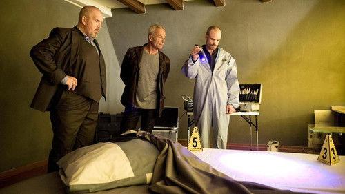 Scene of the Crime Season 48 Episode 11 - Neighbors